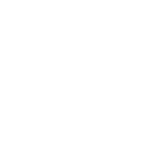 Example of a CCM prototype development project