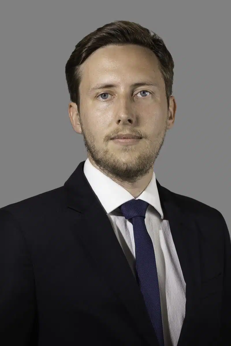 Henrique Doebeli