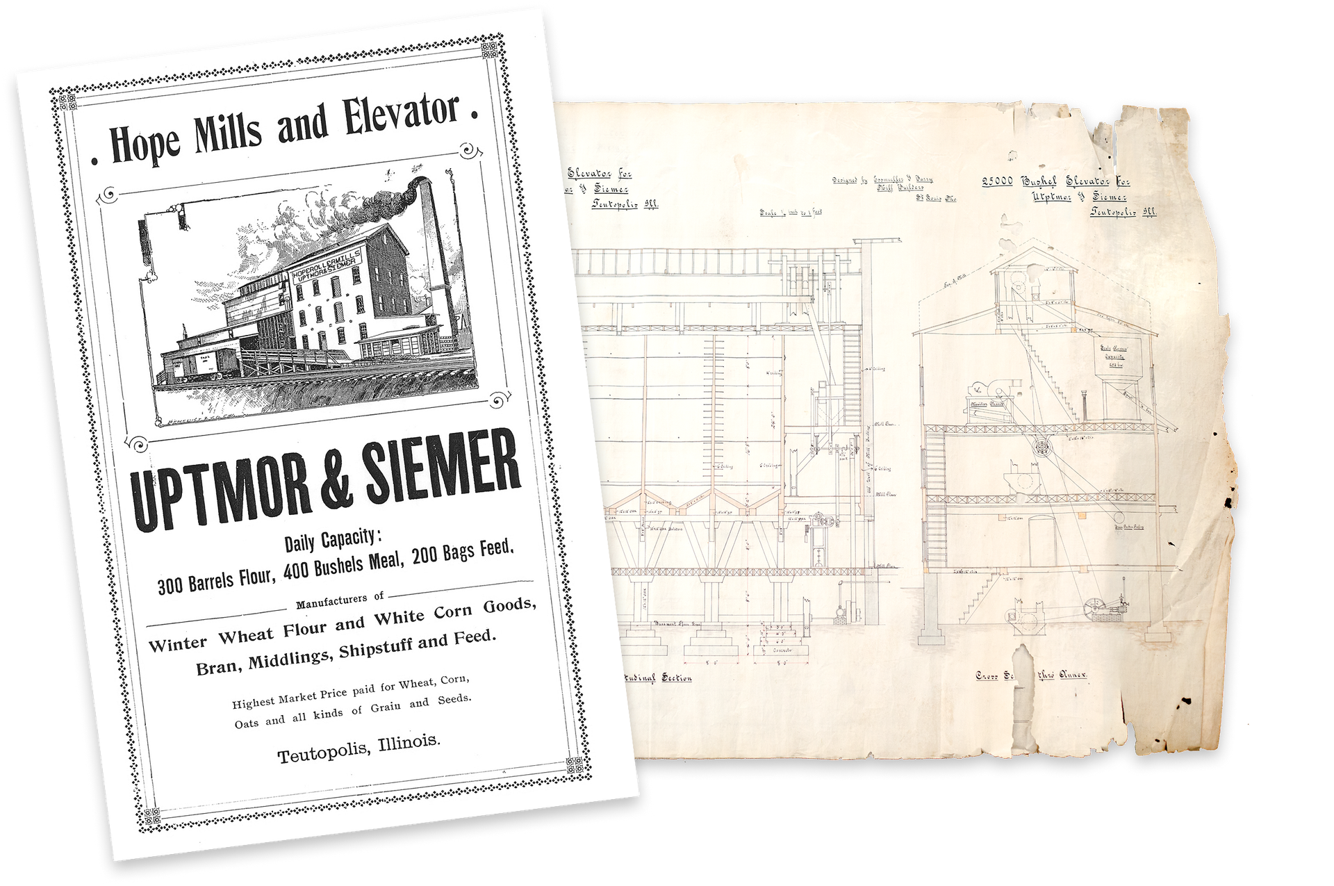 1882 timeline photo