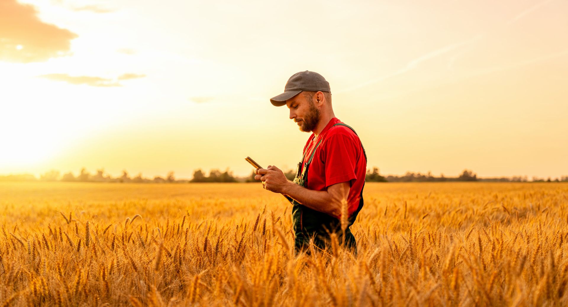 Farmer using the Siemer Milling App