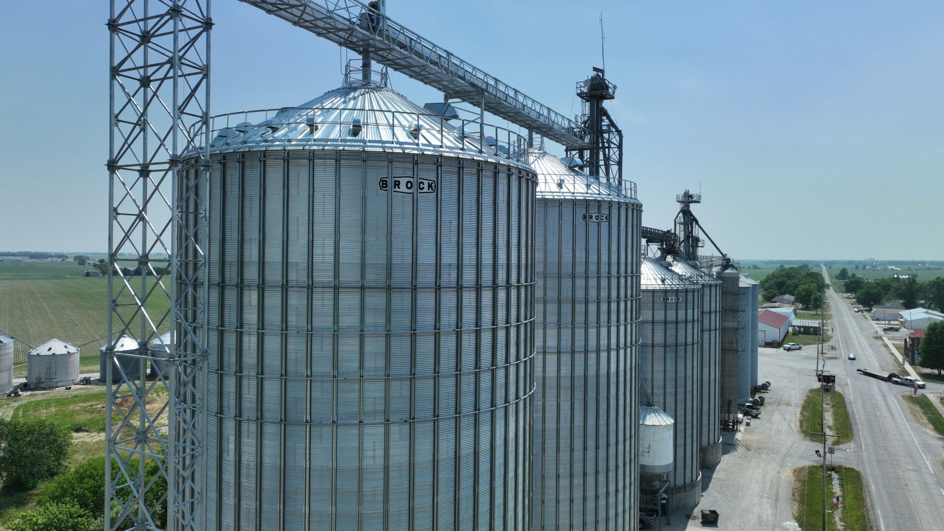 Wheat grain ready for merchandising