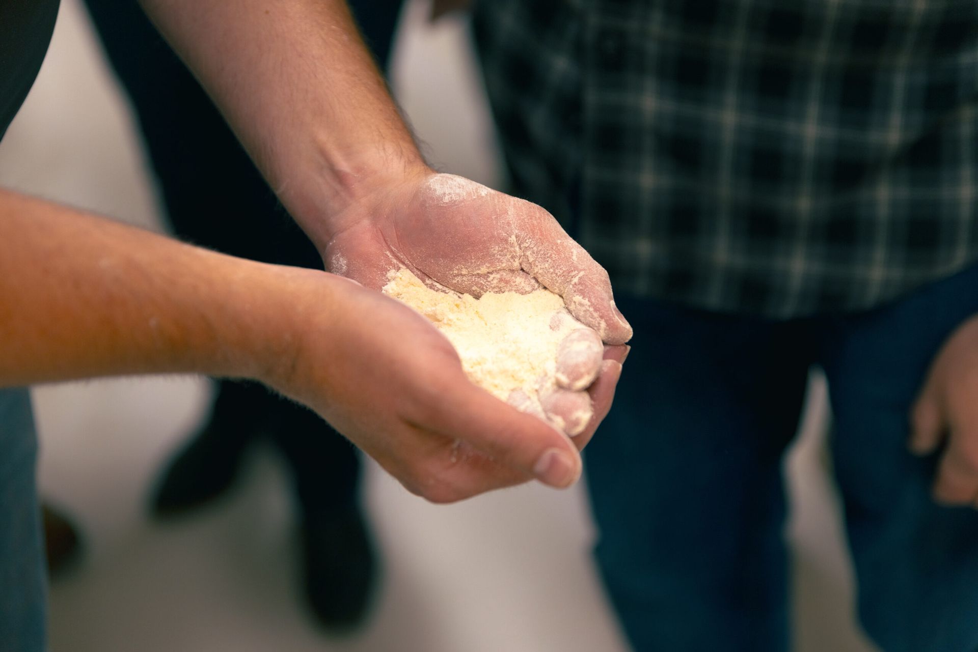 Wheat and flour at Siemer Milling
