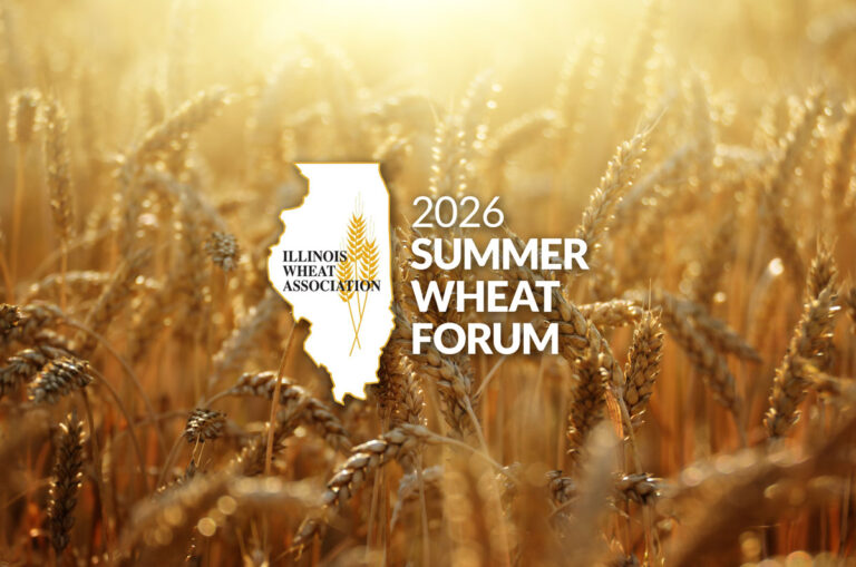 IWA Summer Wheat Forum