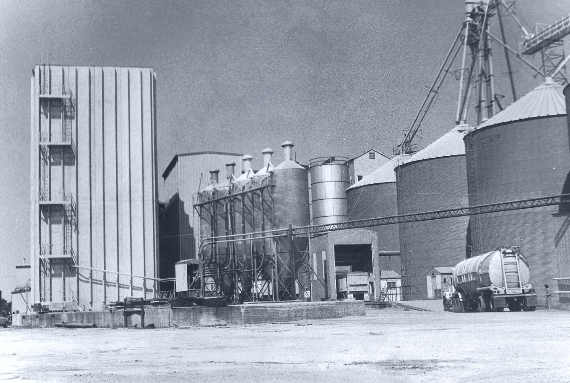 1979 timeline photo