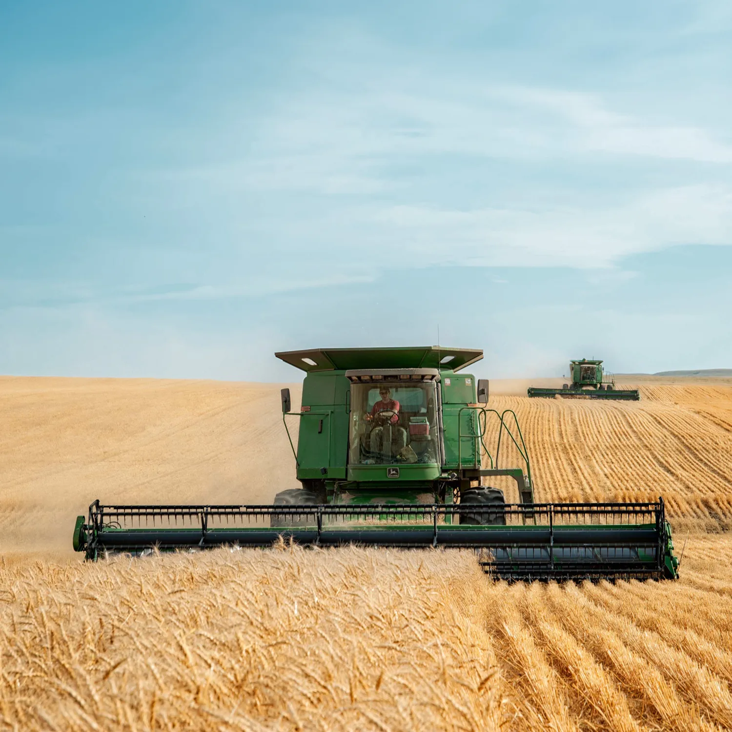 Wheat Harvest