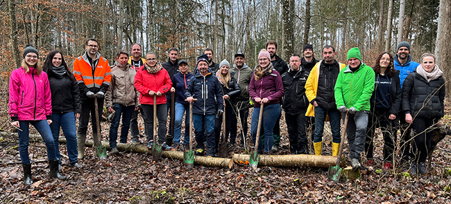 Teamactiviteit in het bos waarbij medewerkers helpen met planten