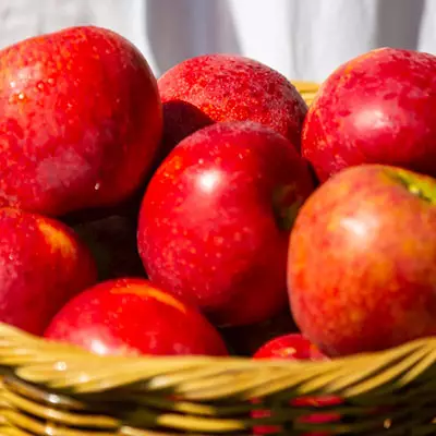 Apples: ENVY, JAZZ and more