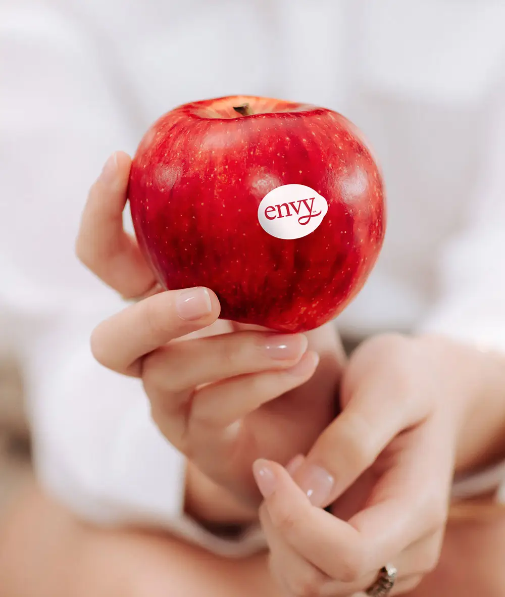 ENVY apples