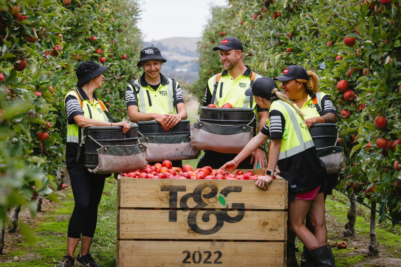 T&G team members working together
