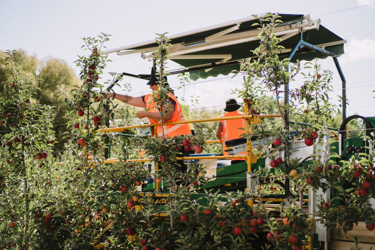 Protect and grow: health and safety at T&G