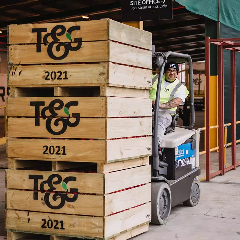 Inclusion and diversity at T&G
