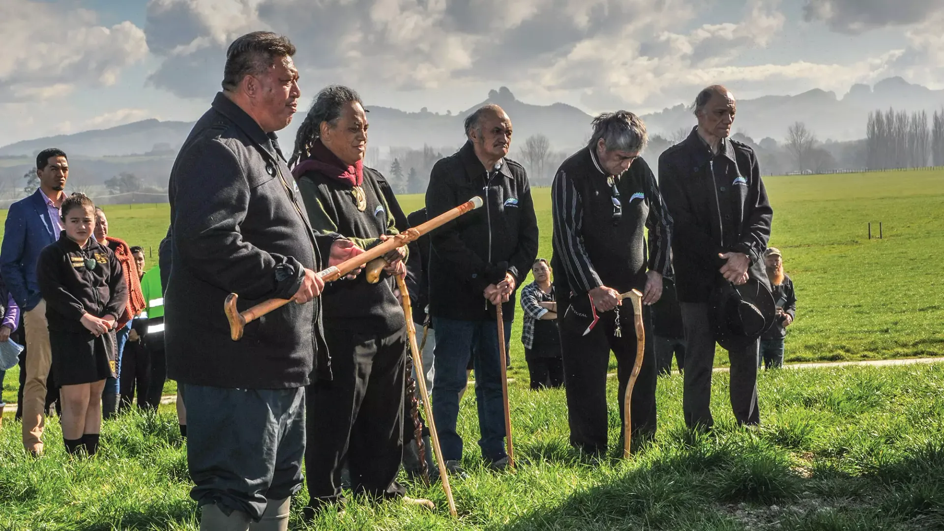 T&G orchard landscape representing our kaitiakitanga approach