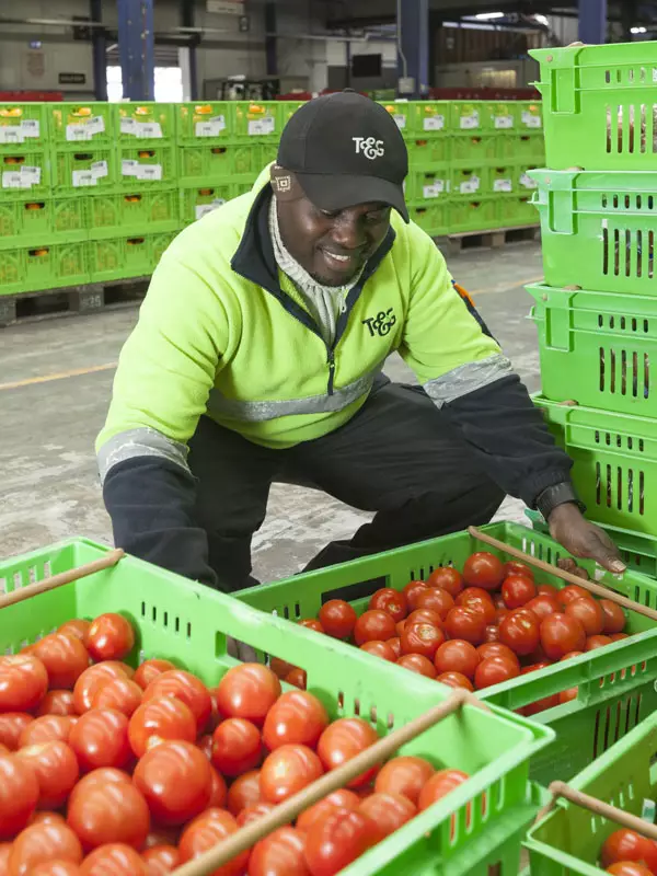 T&G Fresh team at a New Zealand market floor