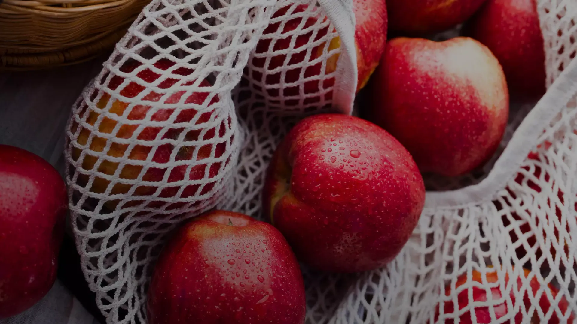 ENVY apples in a T&G orchard, ready for harvest
