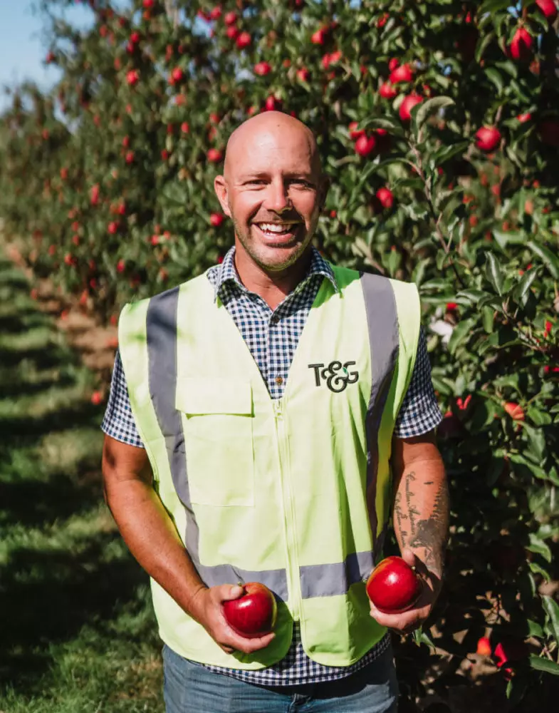 T&G team member packing fresh produce