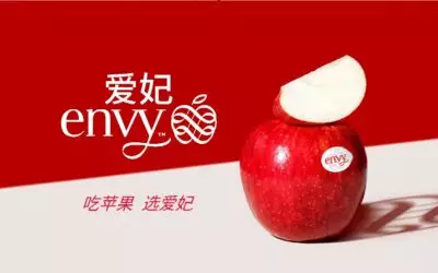 Envy China growing footprint