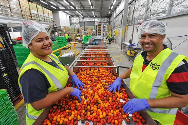Health, safety and wellbeing at T&G